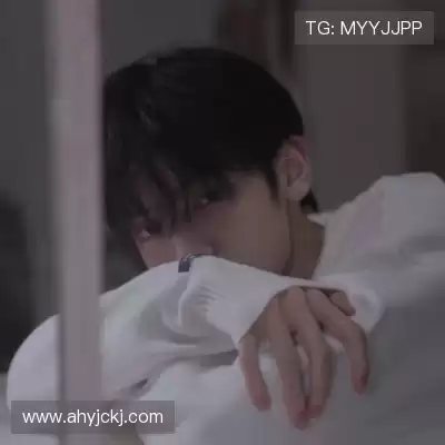 费仲季